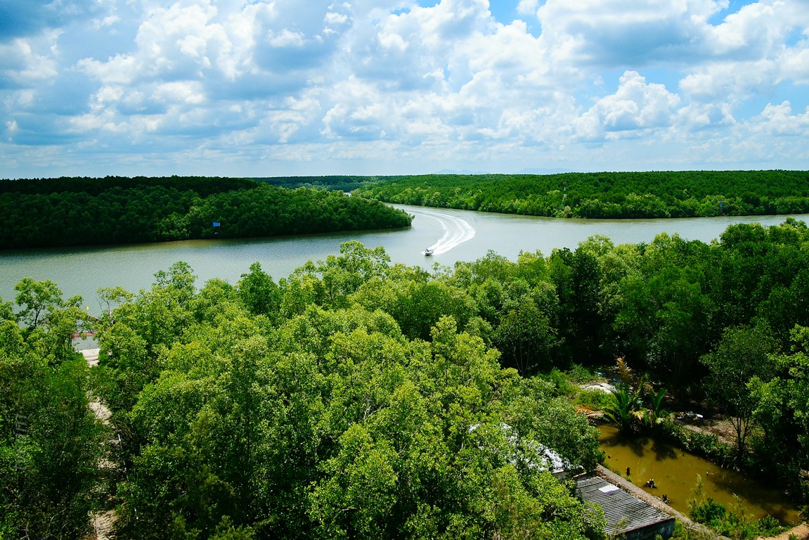                                             Vam Sat Ecotourism Site in Can Gio